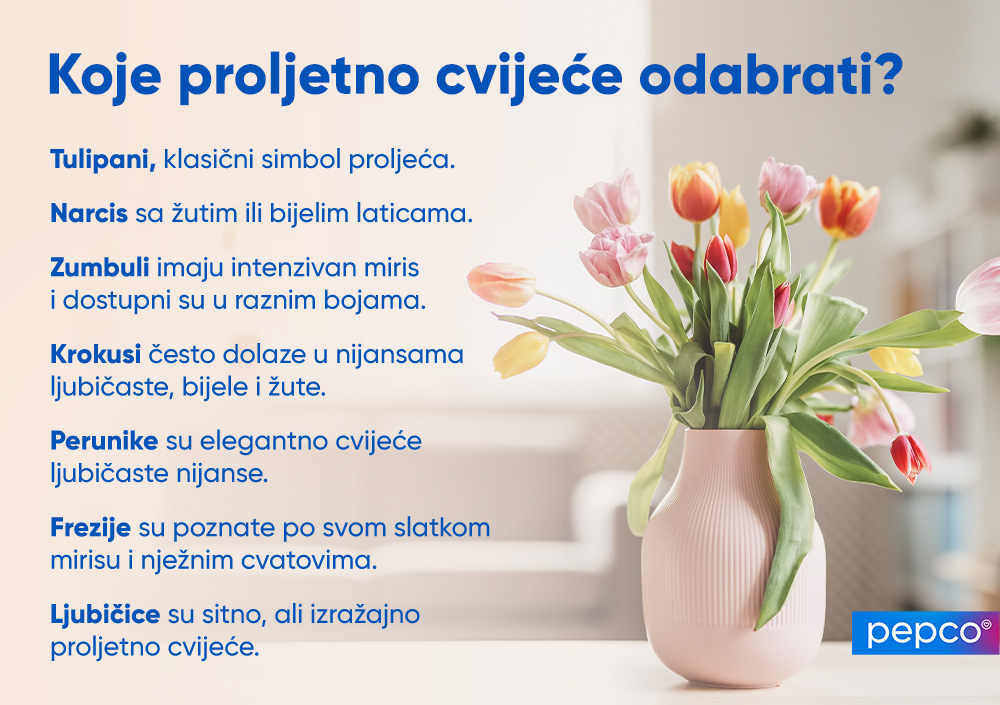 Pepco infografika o odabiru vaze za cvijeće