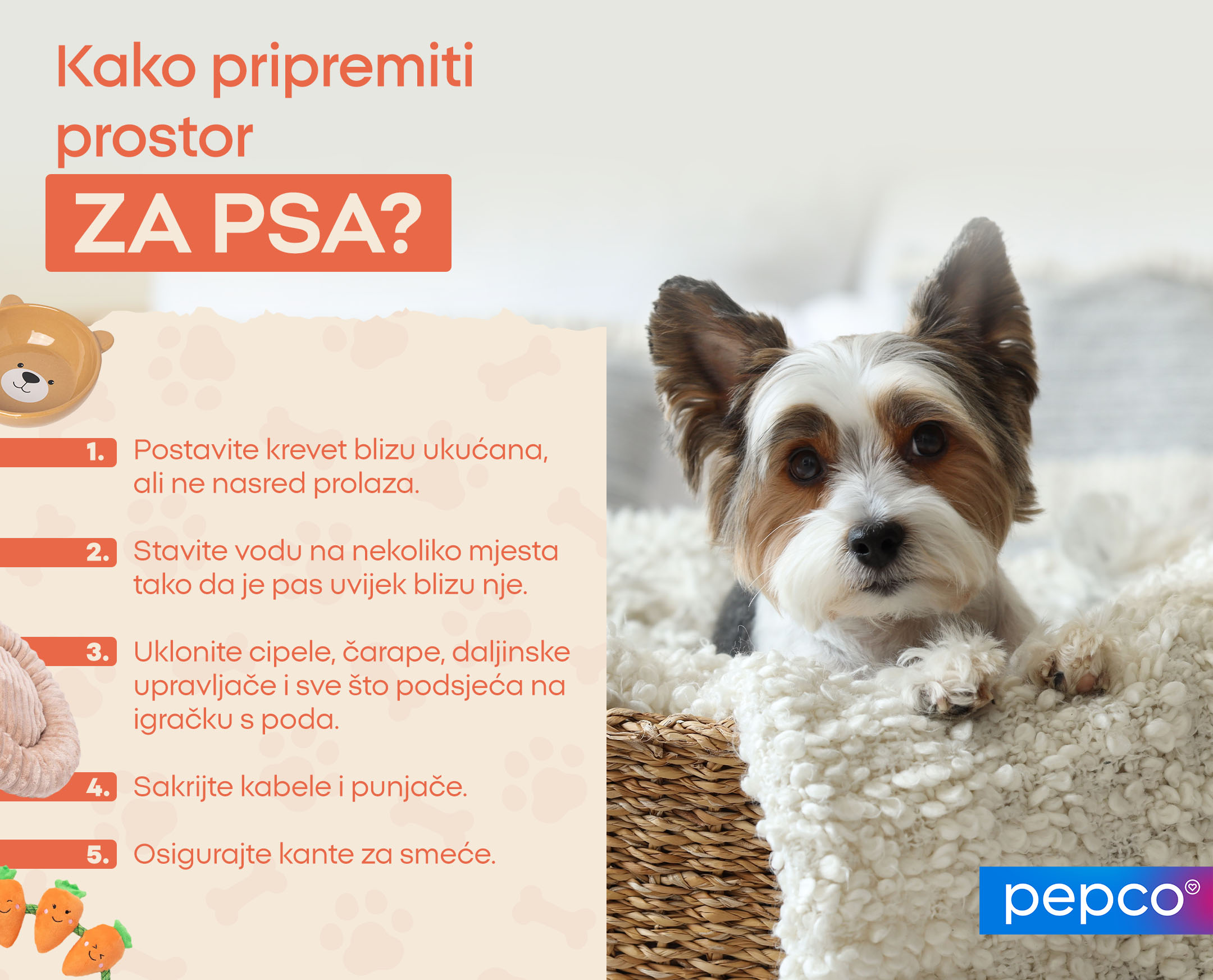 Kako pripremiti prostor za psa?